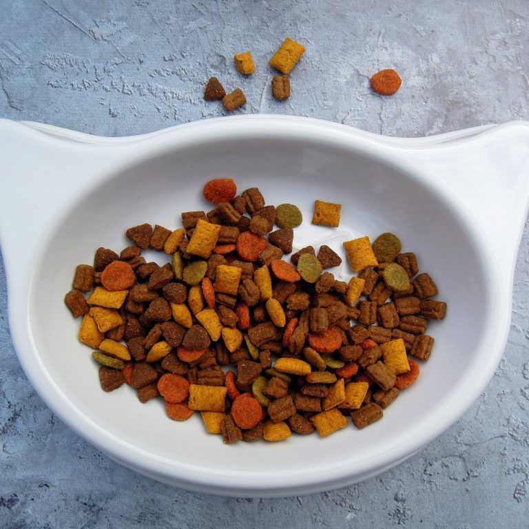 Bowl of nutritious pet food suitable for pets of all ages and sizes