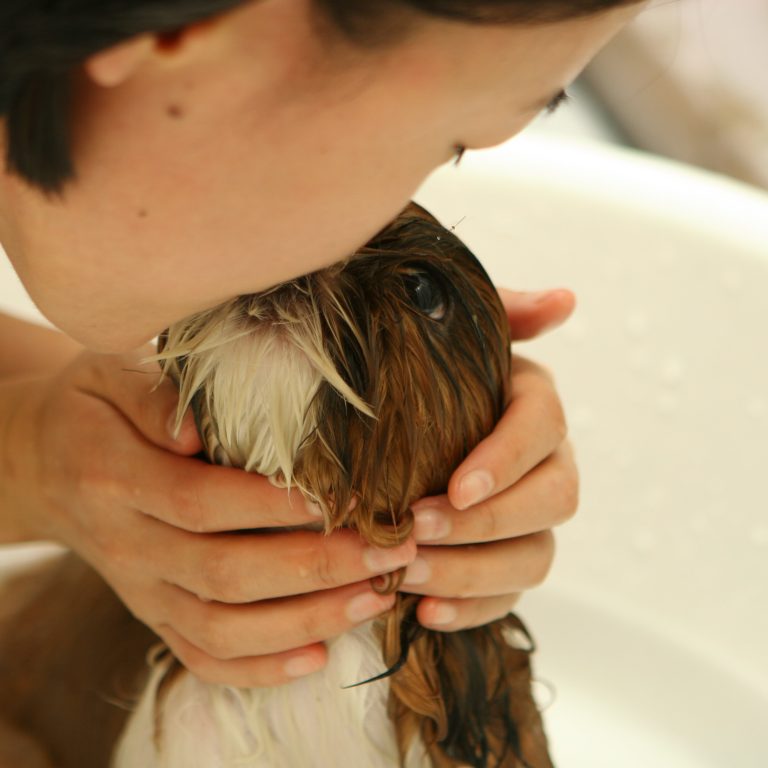 A happy dog enjoying bath time with a toy in the tub during pet grooming